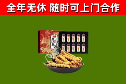 六枝特回收冬虫夏草价格